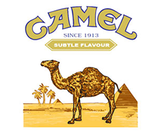 Camel